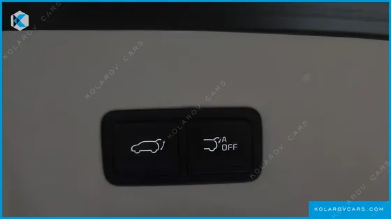 KIA CARNIVAL GASOLINE 9-SEATER LIMOUSINE(SPECIAL VEHICLE)
