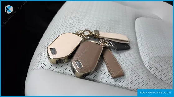 KIA CARNIVAL HEV 9SEATER GRAVITY
