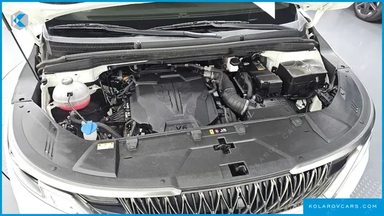 KIA CARNIVAL GASOLINE 9-SEATER HI-LIMOUSINE