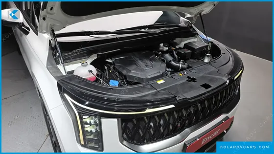 KIA CARNIVAL DIESEL 7-SEATER OUTDOOR