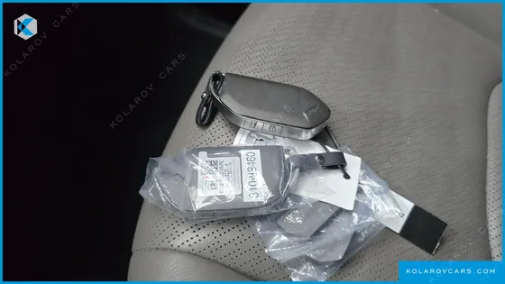 KIA CARNIVAL DIESEL 7-SEATER OUTDOOR