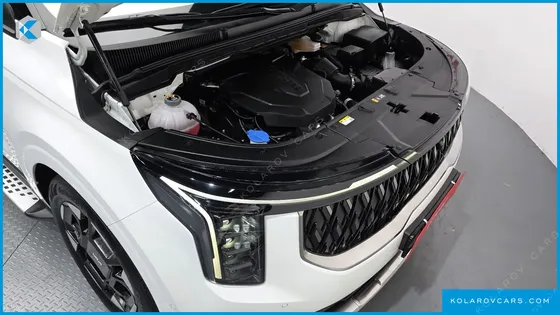 KIA CARNIVAL DIESEL 9-SEATER SIGNATURE