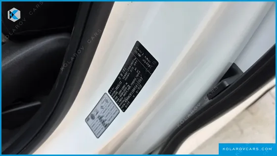 KIA CARNIVAL GASOLINE 9-SEATER NOBLESSE