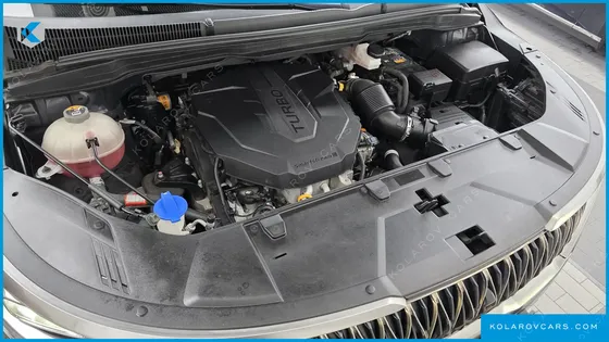 KIA CARNIVAL DIESEL 9-SEATER HI-LIMOUSINE
