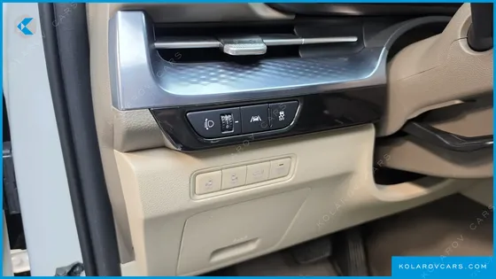 KIA CARNIVAL GASOLINE 9-SEATER HI-LIMOUSINE