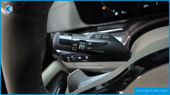 KIA CARNIVAL GASOLINE 9-SEATER HI-LIMOUSINE