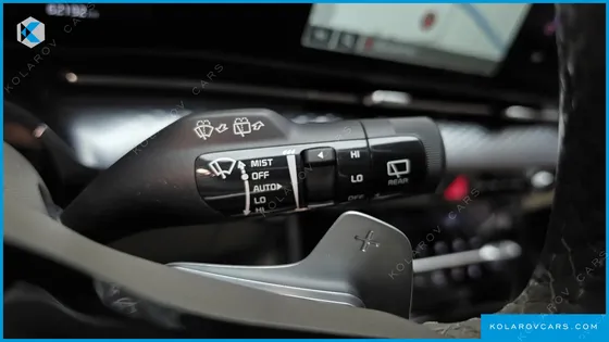 KIA CARNIVAL GASOLINE 9-SEATER HI-LIMOUSINE