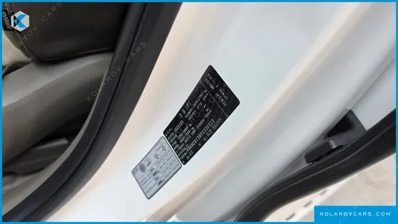 KIA CARNIVAL GASOLINE 9-SEATER HI-LIMOUSINE