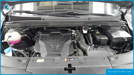 KIA CARNIVAL GASOLINE 9-SEATER HI LIMOUSINE