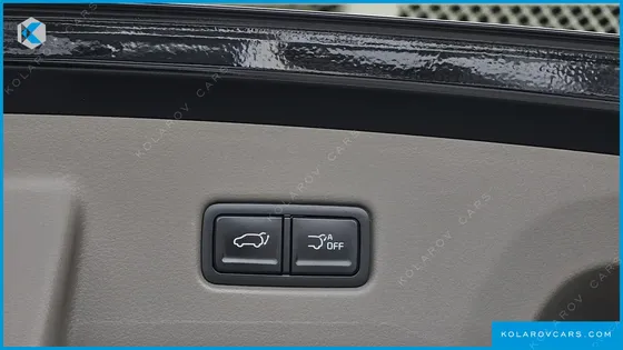 KIA CARNIVAL GASOLINE 9-SEATER HI LIMOUSINE