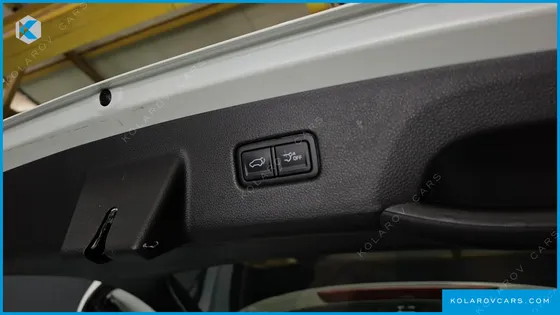KIA CARNIVAL GASOLINE 9-SEATER SIGNATURE