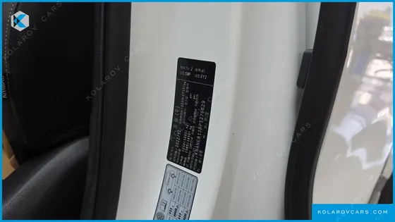 KIA CARNIVAL GASOLINE 9-SEATER SIGNATURE