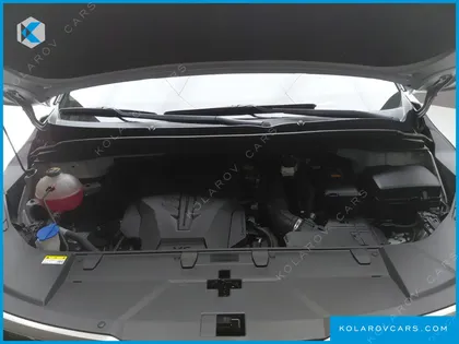 KIA CARNIVAL GASOLINE 9-SEATER NOBLESSE