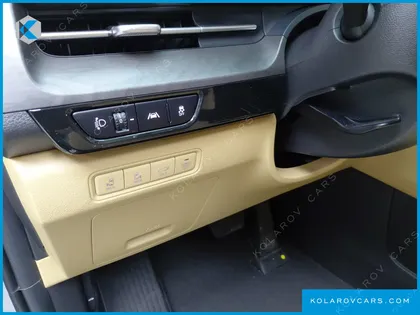 KIA CARNIVAL GASOLINE 9-SEATER NOBLESSE