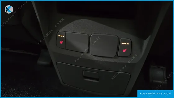 KIA CARNIVAL 9-SEATER LUXURY