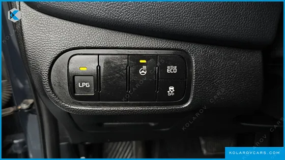 KIA CARENS 2.0 LPI PRESTIGE