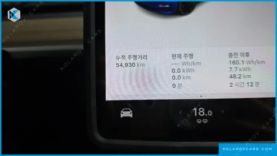 TESLA MODEL 3 PERFORMANCE AWD