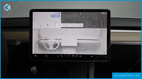 TESLA MODEL 3 PERFORMANCE AWD