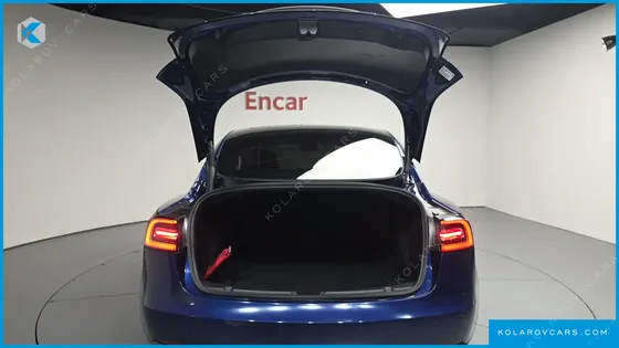 TESLA MODEL 3 PERFORMANCE AWD