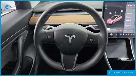 TESLA MODEL 3 STANDARD RANGE PLUE RWD