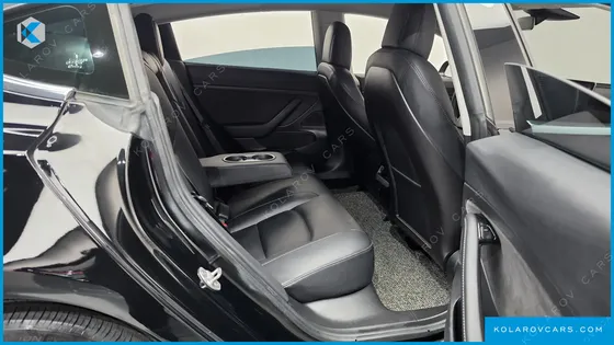 TESLA MODEL 3 STANDARD RANGE PLUE RWD