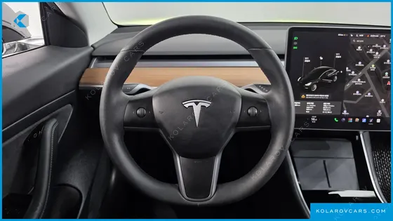 TESLA MODEL 3 STANDARD RANGE PLUE RWD