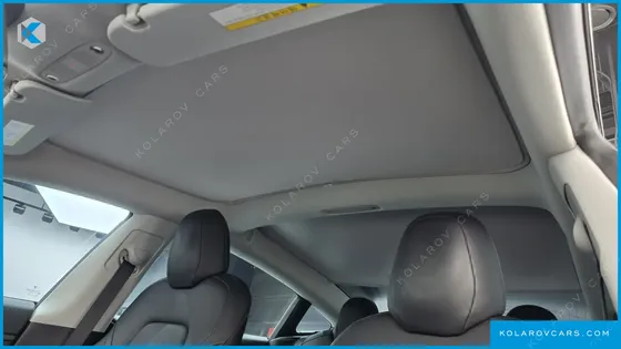 TESLA MODEL 3 STANDARD RANGE PLUE RWD