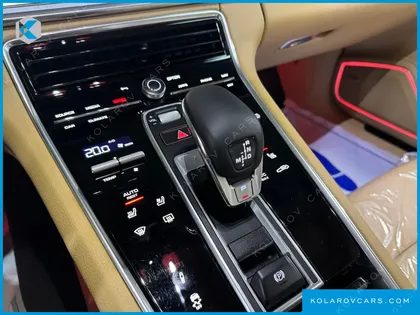 PORSCHE PANAMERA 2.9 AWD PLATINUM EDITION