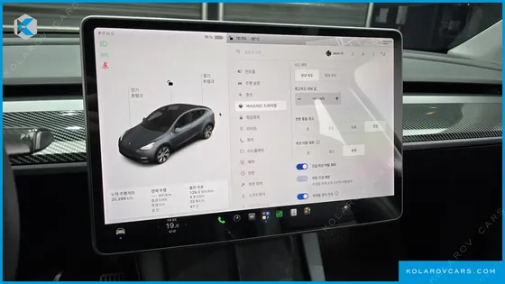 TESLA MODEL Y STANDARD RANGE RWD