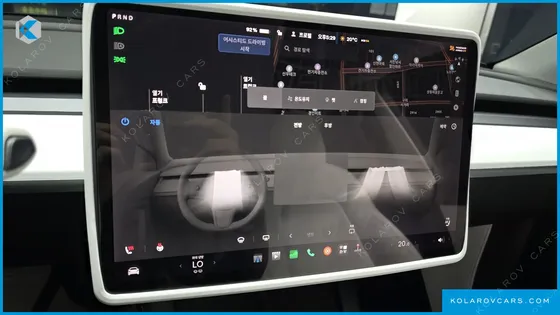 TESLA MODEL Y LONG RANGE AWD