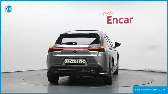 LEXUS UX 2.0 F-SPORT 2WD