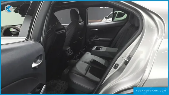 LEXUS UX 2.0 F-SPORT 2WD