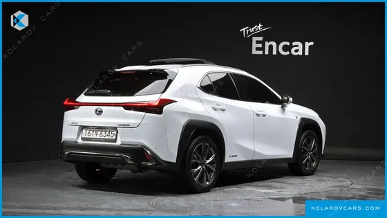 LEXUS UX 2.0 F-SPORT 2WD