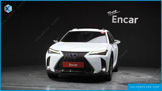 LEXUS UX 2.0 F-SPORT 2WD