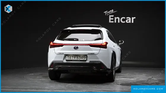 LEXUS UX 2.0 F-SPORT 2WD