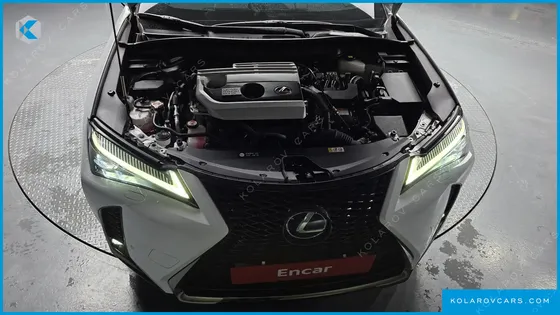 LEXUS UX 2.0 F-SPORT 2WD