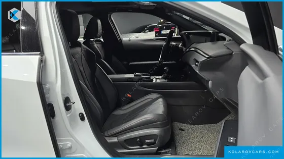 LEXUS UX 2.0 F-SPORT 2WD