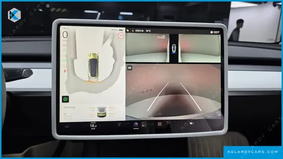 TESLA MODEL Y RWD