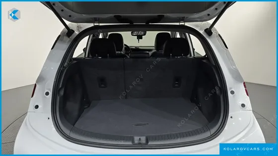 CHEVROLET (GM DAEWOO) BOLT EV EV PREMIER