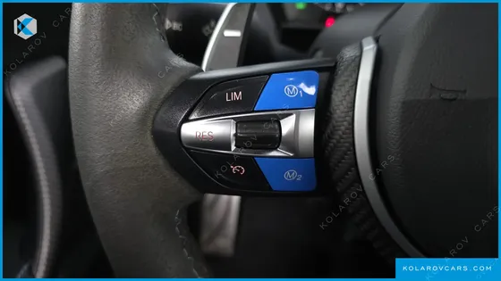 BMW M2 M2 COUPE M PERFORMANCE STEERING WHEEL EDITION