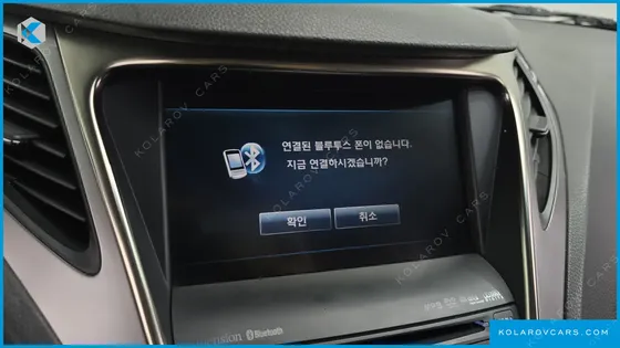 HYUNDAI GRANDEUR LPG HG300 HANDICAPPED ONLY