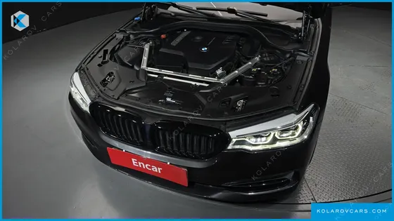 BMW 5 SERIES 530I XDRIVE LUXURY PLUS