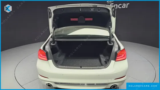 BMW 5 SERIES 530I XDRIVE LUXURY PLUS