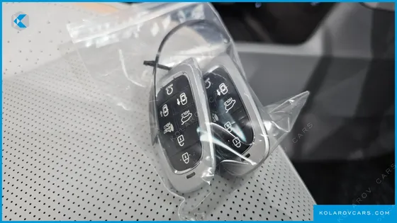 HYUNDAI NEXO PREMIUM