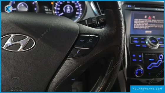 HYUNDAI SONATA LPI PREMIER(HANDICAPPED)