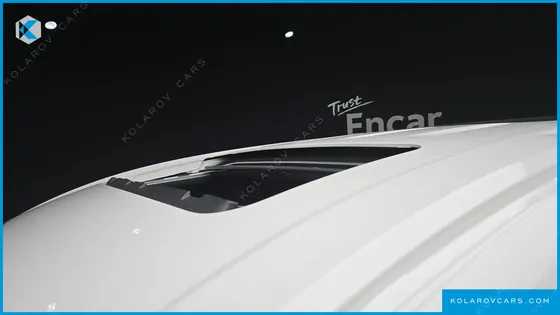HYUNDAI STARIA EV LOUNGE 11-SEATER