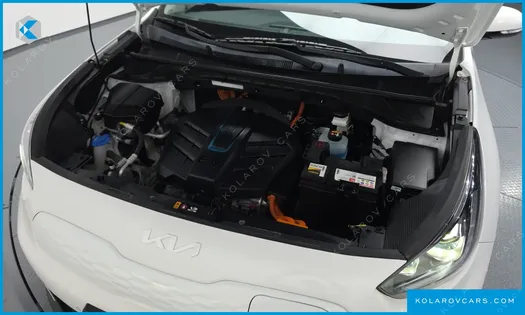 KIA NIRO EARTH