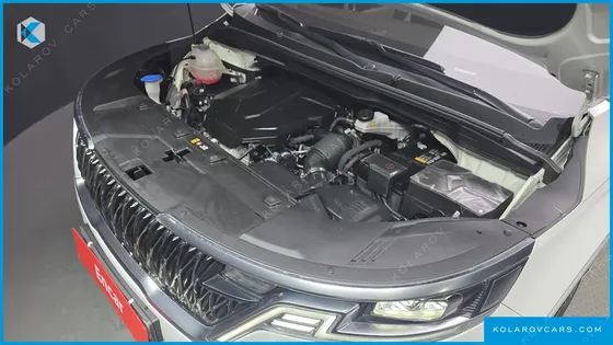 KIA CARNIVAL DIESEL 9-SEATER SIGNATURE