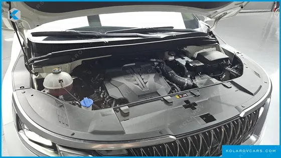 KIA CARNIVAL GASOLINE 9-SEATER SIGNATURE