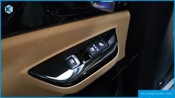 KIA CARNIVAL GASOLINE 9-SEATER SIGNATURE